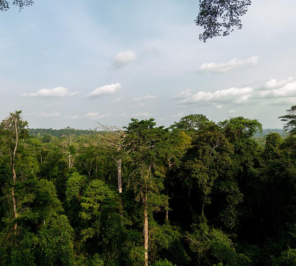 Kumasi and the Ashanti Region
