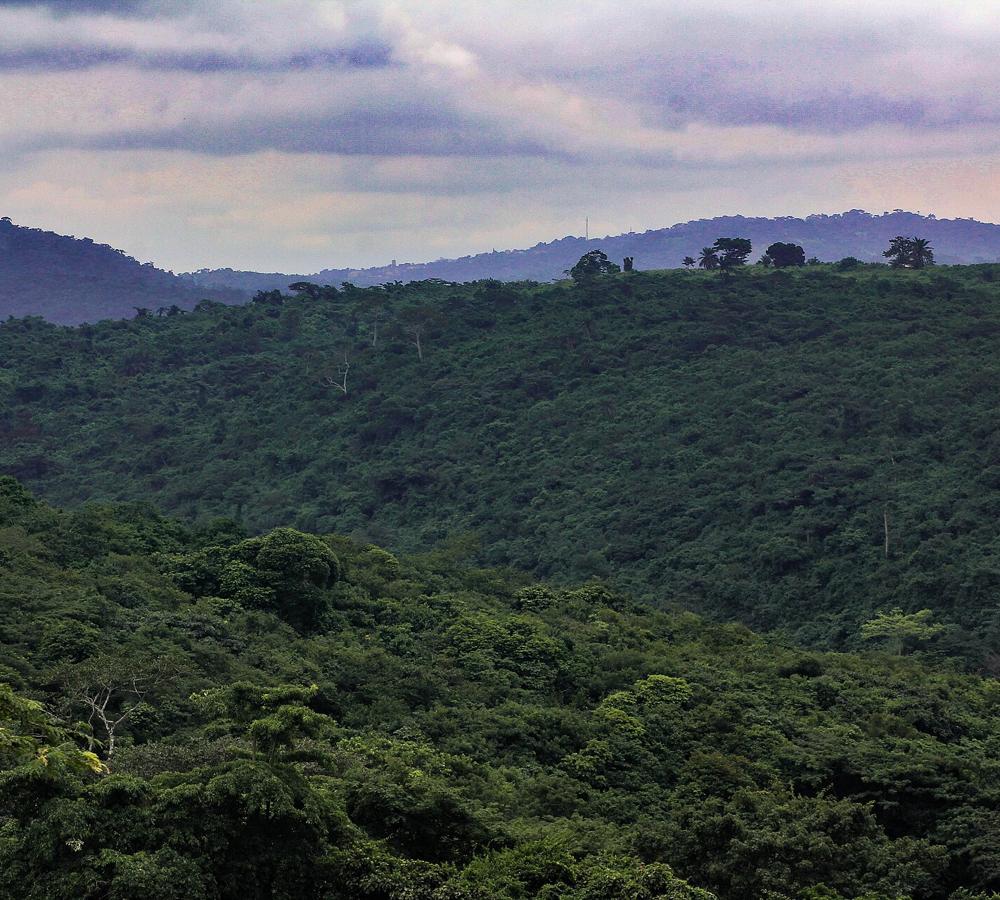 Koforidua and the Eastern Region